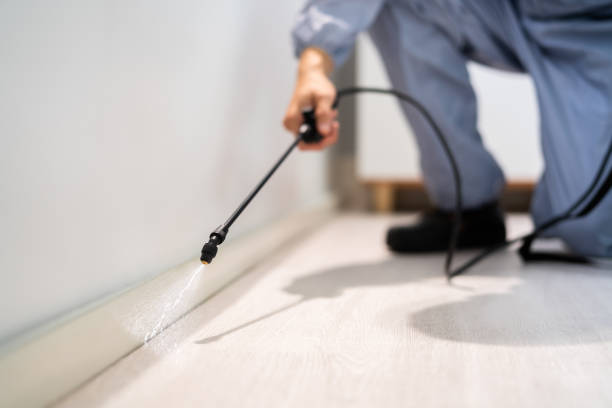 Licensed Termite Control service in Walsenburg, CO - Show Me Pest Control